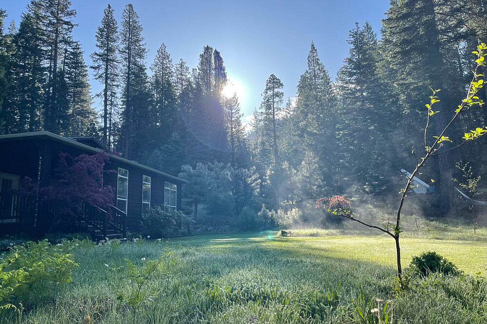 Immersione sacra nelle piante di 6 giorni: ritiro True Nature a Mt Shasta, CA 10