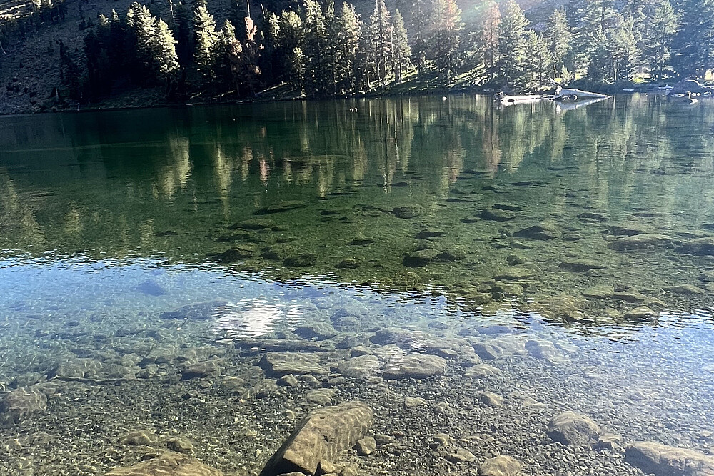 Immersione sacra nelle piante di 6 giorni: ritiro True Nature a Mt Shasta, CA 14