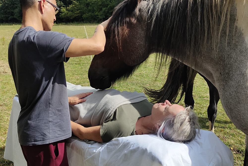 Retiro de Desenho em Silêncio de 6 Dias com Cavalos em Arnside, Inglaterra 42