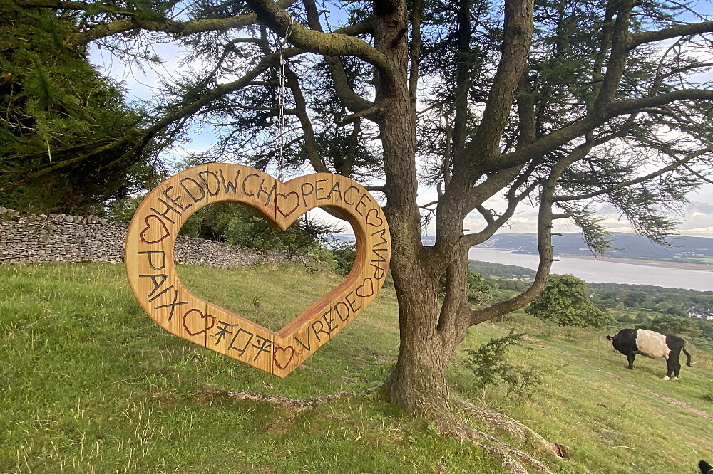 Retiro de Desenho em Silêncio de 6 Dias com Cavalos em Arnside, Inglaterra 12
