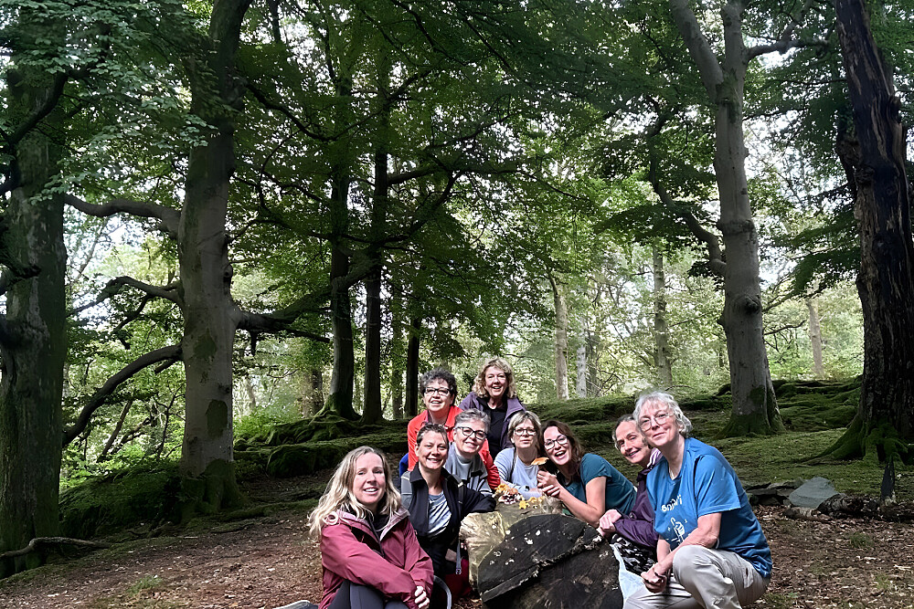 Retiro de Desenho em Silêncio de 6 Dias com Cavalos em Arnside, Inglaterra 7