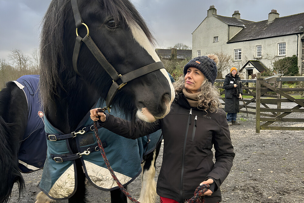 Retiro de Desenho em Silêncio de 6 Dias com Cavalos em Arnside, Inglaterra 20
