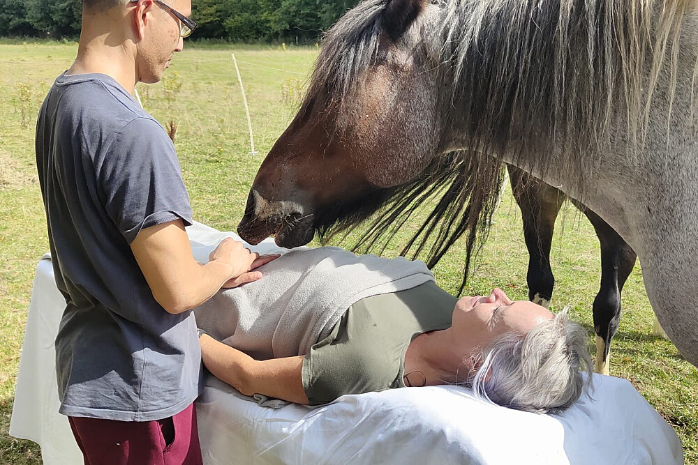 Retiro de Desenho em Silêncio de 6 Dias com Cavalos em Arnside, Inglaterra 41