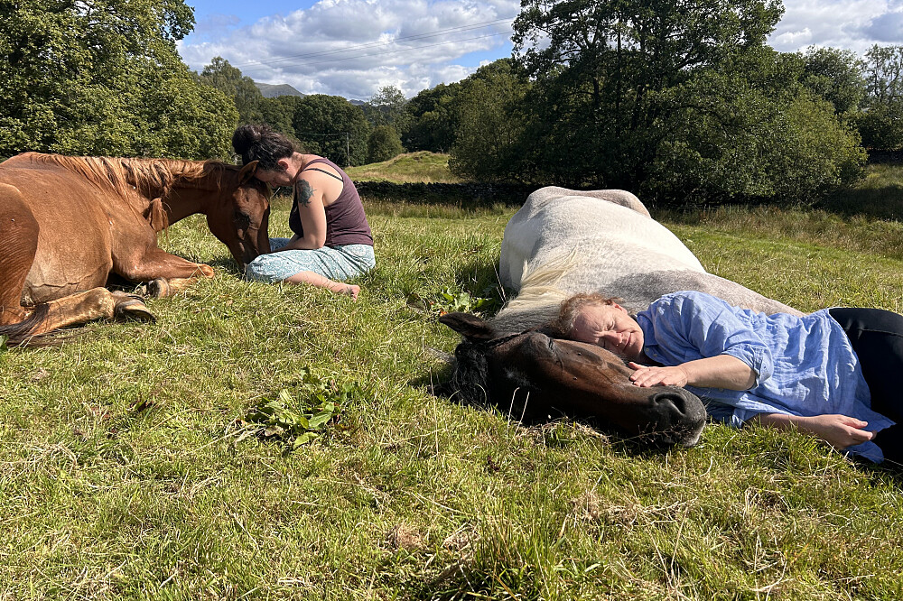 6-tägiges stilles Heilungs-Retreat mit Pferden in Cumbria, UK 8