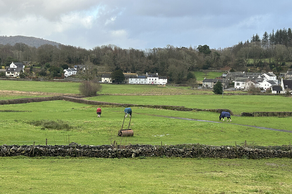 6-tägiges stilles Heilungs-Retreat mit Pferden in Cumbria, UK 34
