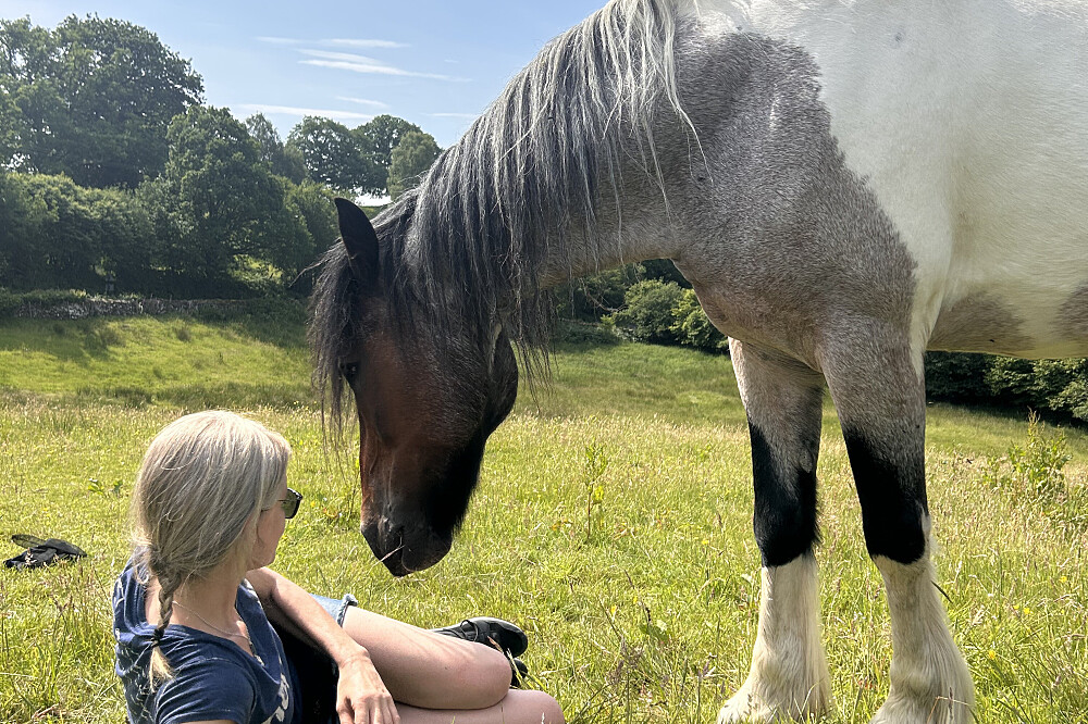 6 Day Silent Healing With Horses Retreat in Cumbria, UK 5