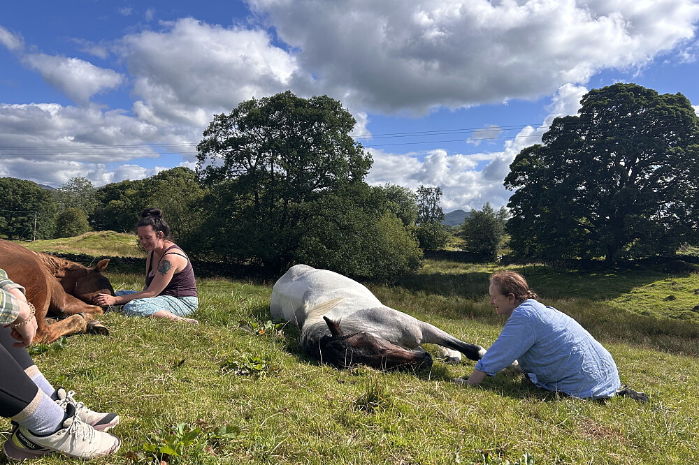 6-tägiges stilles Heilungs-Retreat mit Pferden in Cumbria, UK 9