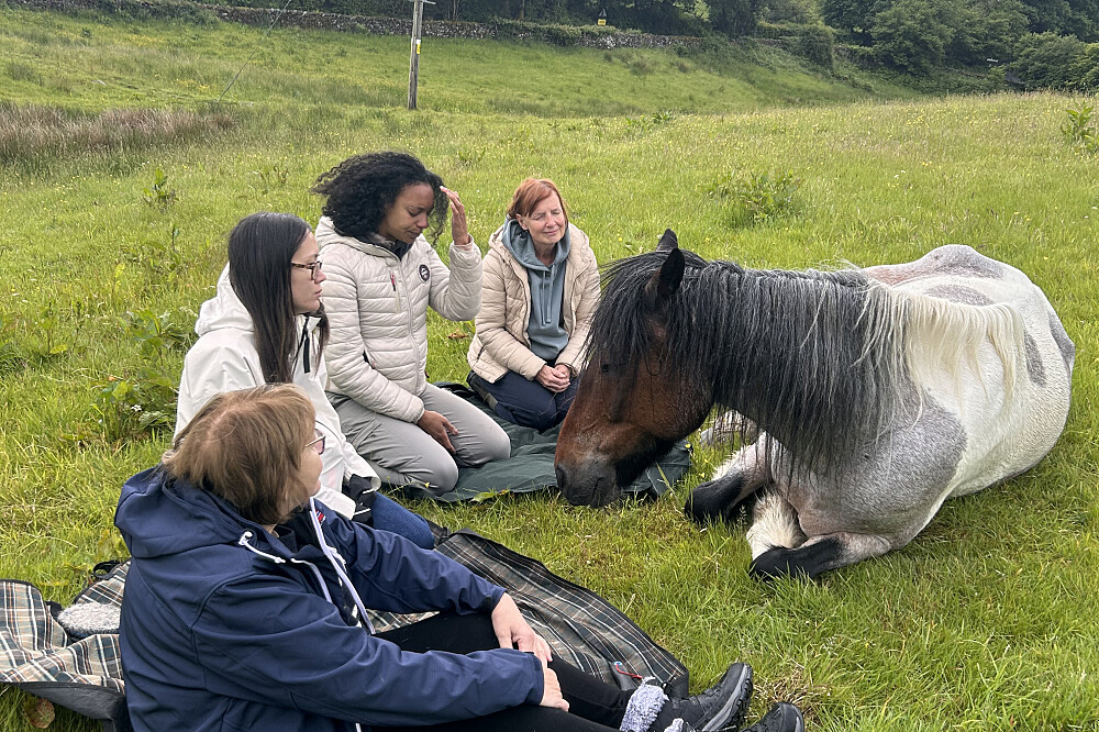 6-tägiges stilles Heilungs-Retreat mit Pferden in Cumbria, UK 27