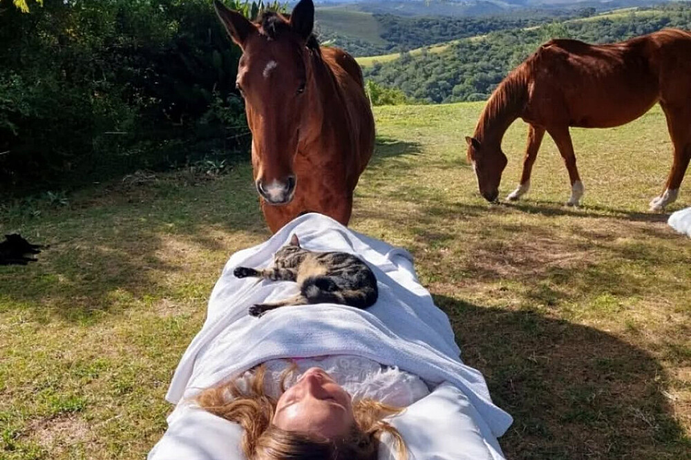 6 Day Silent Healing With Horses Retreat in Cumbria, UK 3