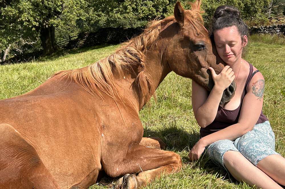 6 Day Silent Healing With Horses Retreat in Cumbria, UK 2