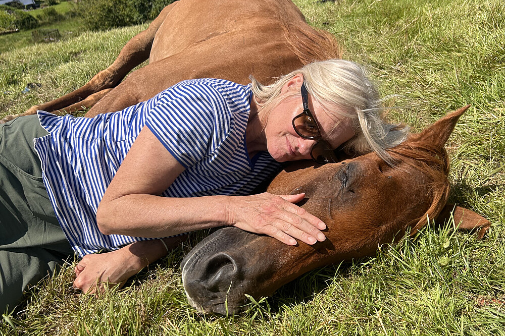 6 Day Silent Healing With Horses Retreat in Cumbria, UK 4