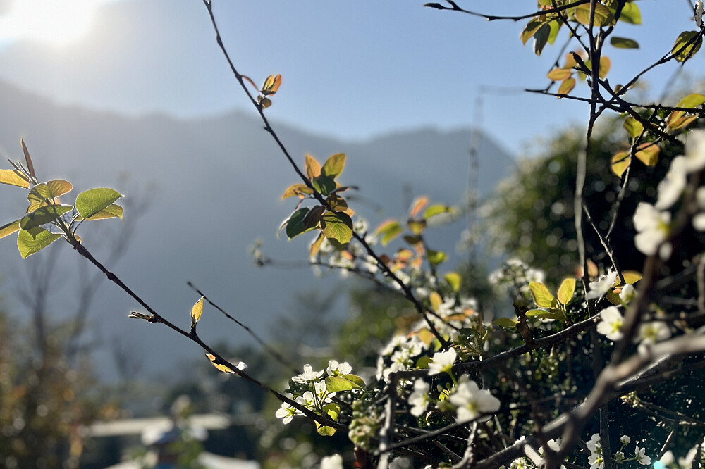 Stillness de 6 jours : une retraite de yoga et de pleine conscience à Rishikesh, en Inde 37