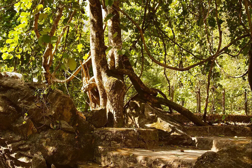 Stillness de 6 jours : une retraite de yoga et de pleine conscience à Rishikesh, en Inde 17