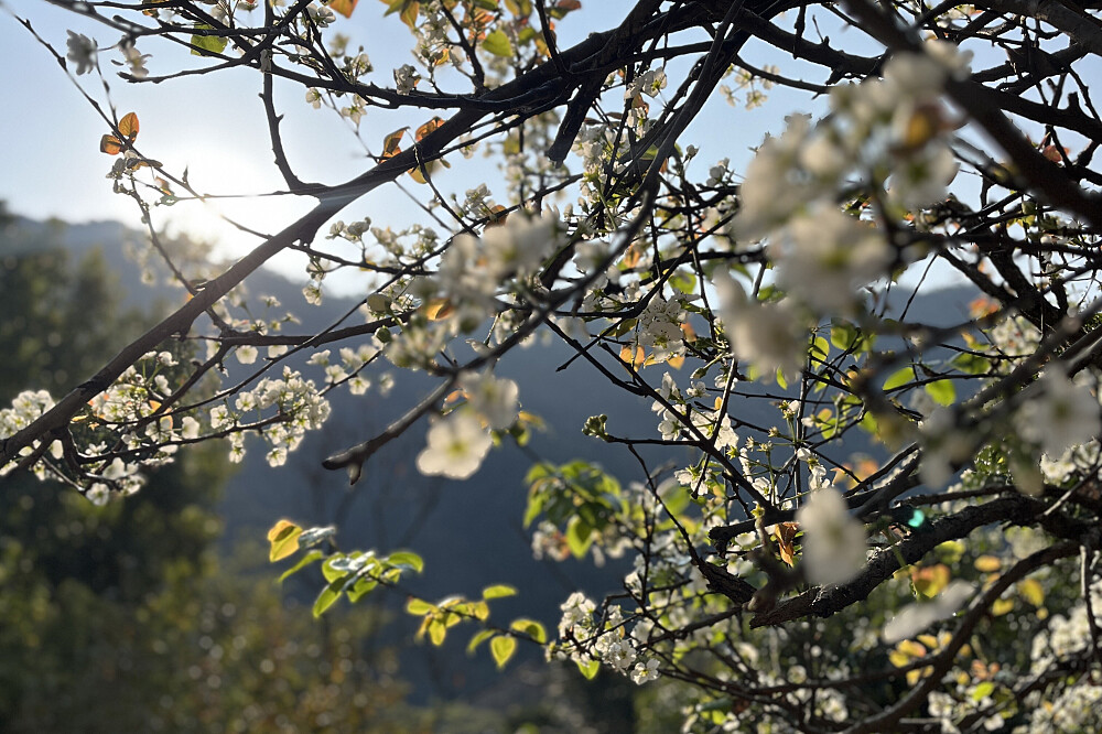 Stillness de 6 jours : une retraite de yoga et de pleine conscience à Rishikesh, en Inde 36