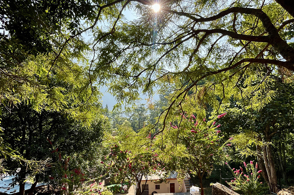 Stillness de 6 jours : une retraite de yoga et de pleine conscience à Rishikesh, en Inde 21