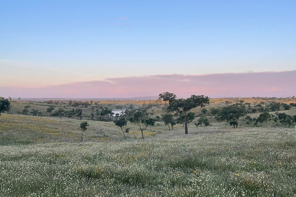 6 Tage „The Big Exhale“ Yoga-Retreat im Alentejo, Portugal
