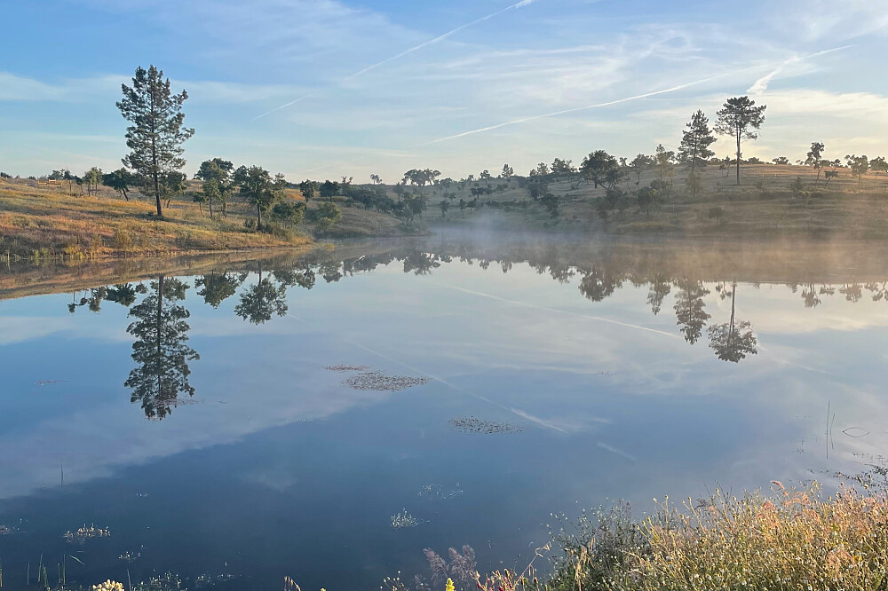 Retraite de yoga « The Big Exhale » de 6 jours en Alentejo, Portugal 11