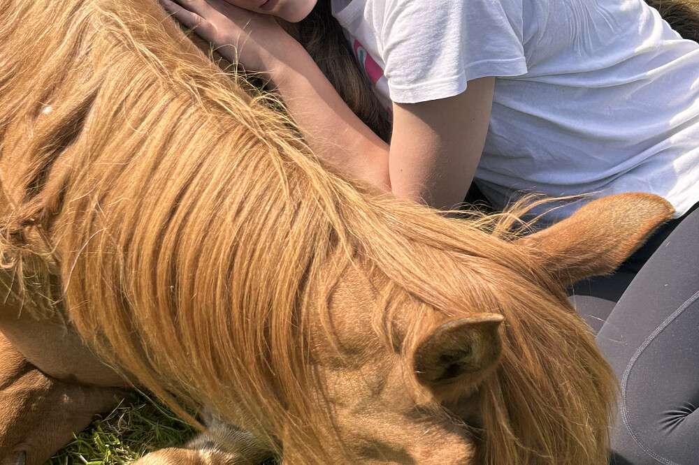 Retiro "The Wild Woman" com Cavalos de 6 Dias no Reino Unido 23