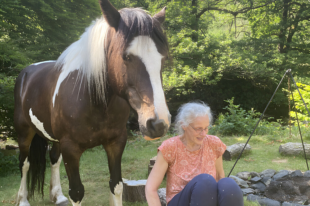 Retiro "The Wild Woman" com Cavalos de 6 Dias no Reino Unido 55
