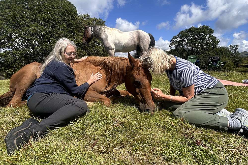 Retiro "The Wild Woman" com Cavalos de 6 Dias no Reino Unido 22