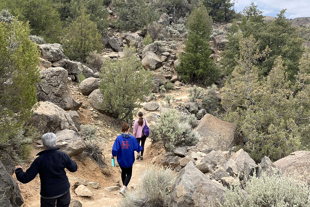 6 Day VIP Awakening In The Desert Healing Retreat in Taos, NM, US 4