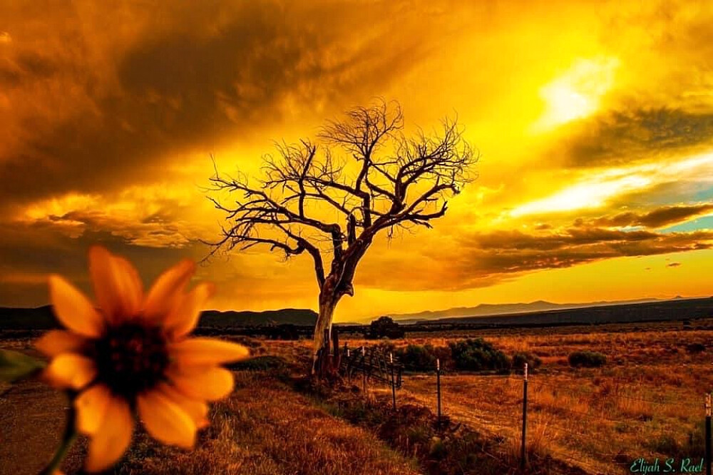 6 Day VIP Awakening In The Desert Healing Retreat in Taos, NM, US 14