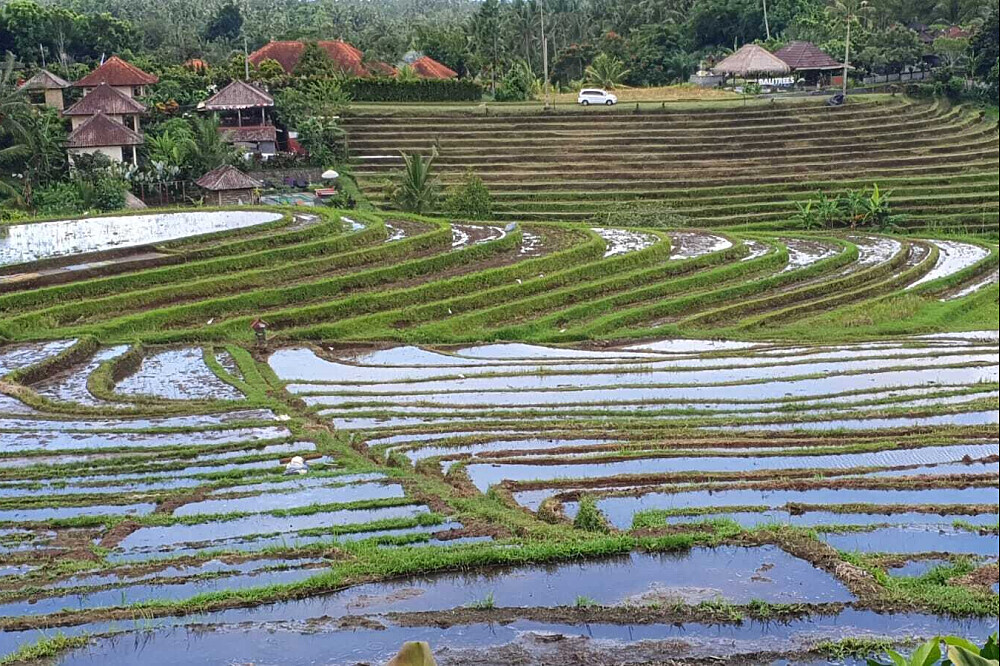6 Day Yoga and Meditation Retreats in Bali 12