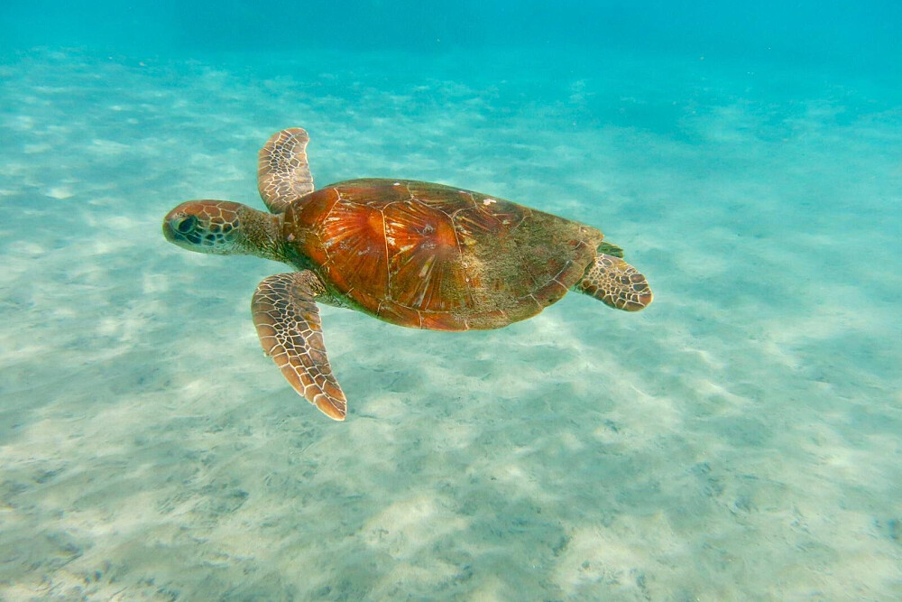 6 Day Yoga and Snorkeling Holiday in Lembongan Island, Indonesia
