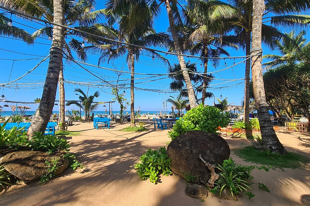 Ritiro yoga di 6 giorni, relax e avventura a Bentota, Sri Lanka 7