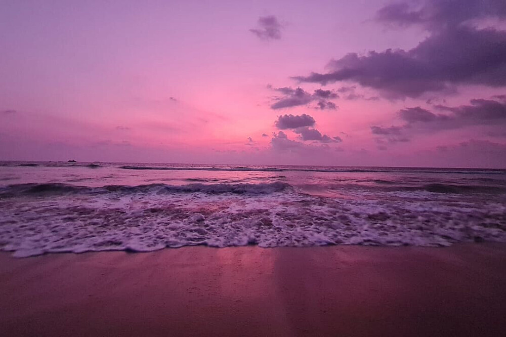 Ritiro yoga di 6 giorni, relax e avventura a Bentota, Sri Lanka 18