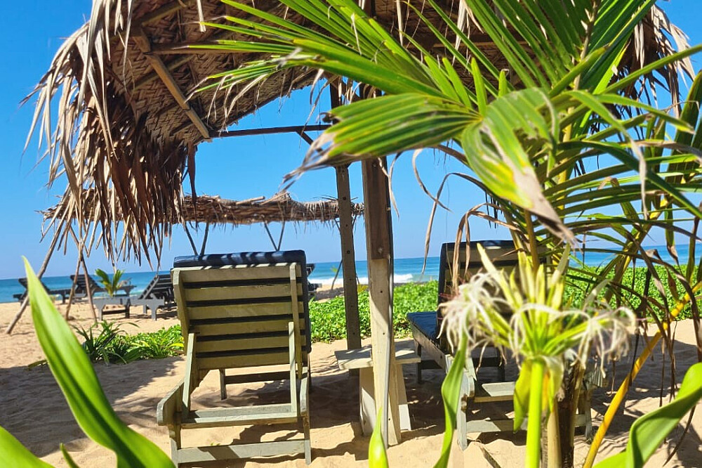 6 Day Yoga Retreat, Relaxation & Adventure in Bentota, Sri Lanka