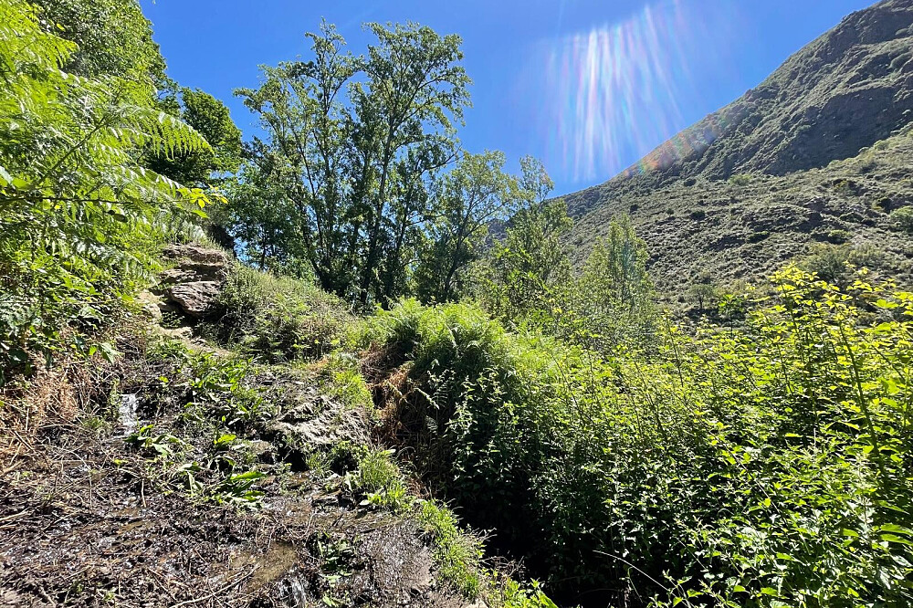 7 Day 1:1 Reclaim Your Inner Freedom Somatic Dance Retreat, Spain 2