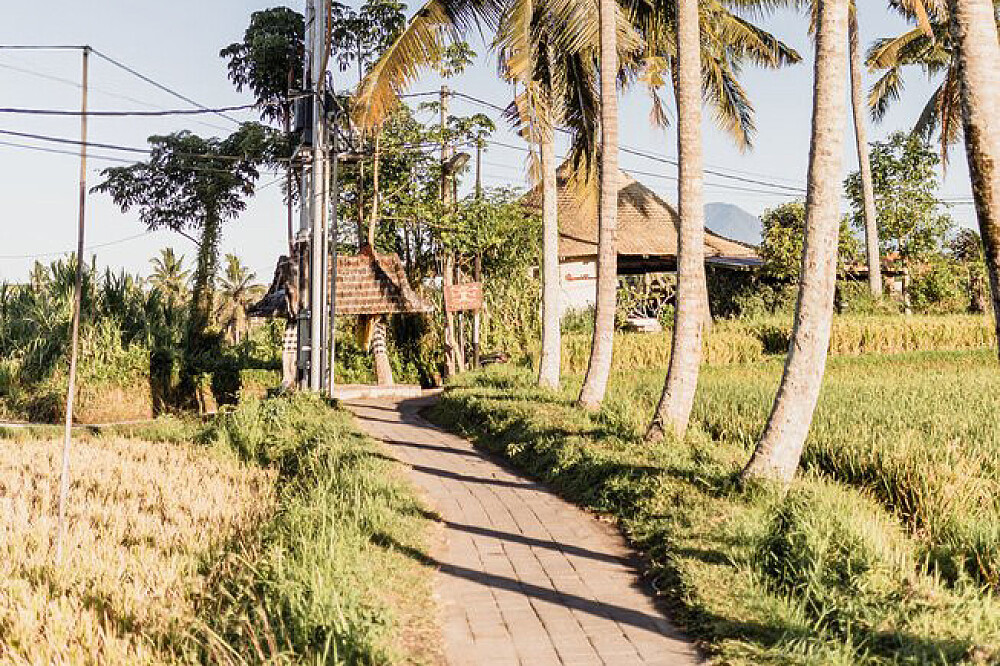 Formation de professeur de Yin Yoga de 7 jours et 50 heures à Bali, Indonésie 37