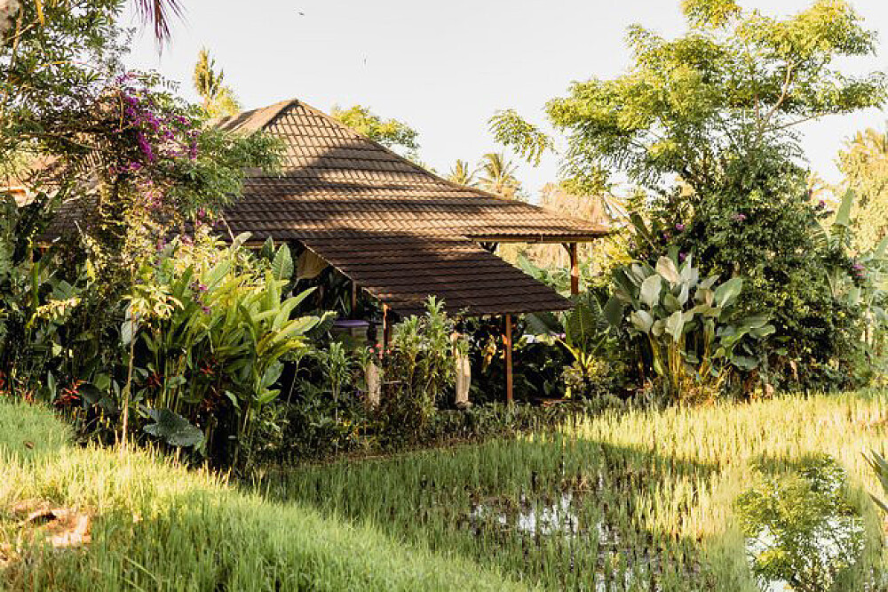 Formation de professeur de Yin Yoga de 7 jours et 50 heures à Bali, Indonésie 38