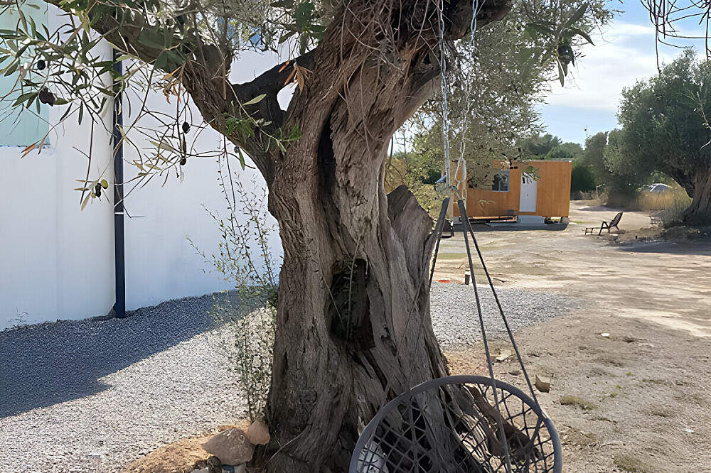 Ancestor Healing Retreat van 7 dagen in Valencia, Spanje 16