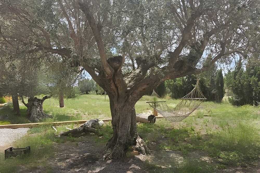 Ancestor Healing Retreat van 7 dagen in Valencia, Spanje 20