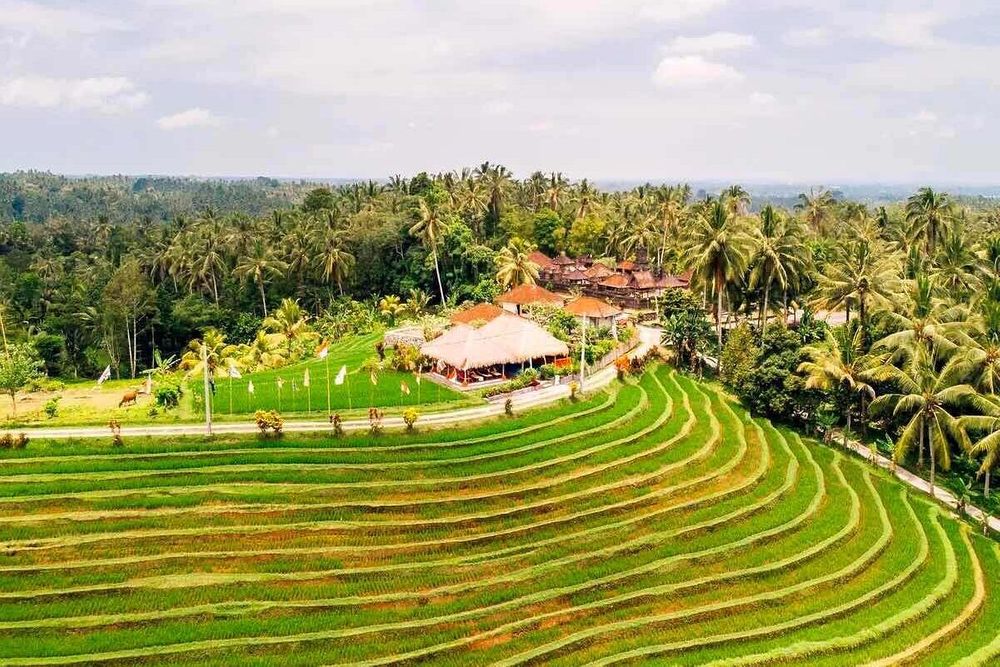 7 Day Authentic Culture & Hindu Yoga Awakening Spa Retreat, Bali 47