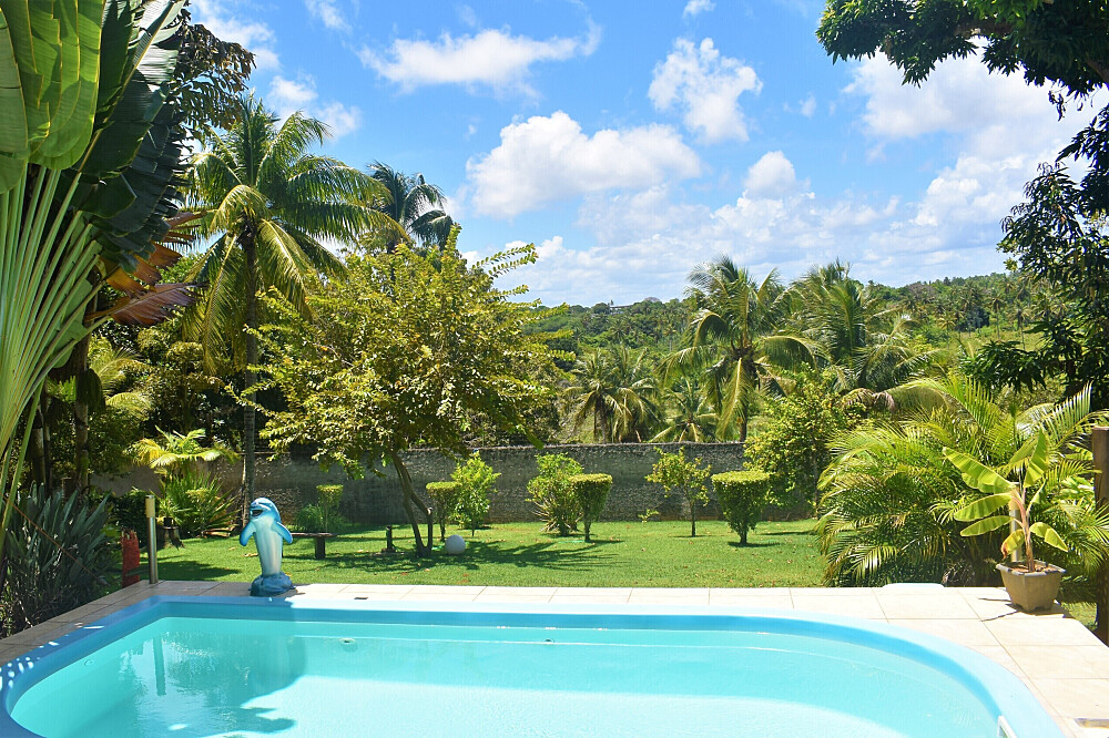 7 Day Ayahuasca Self-Discovery Retreat in Salvador Bahia , Brazil