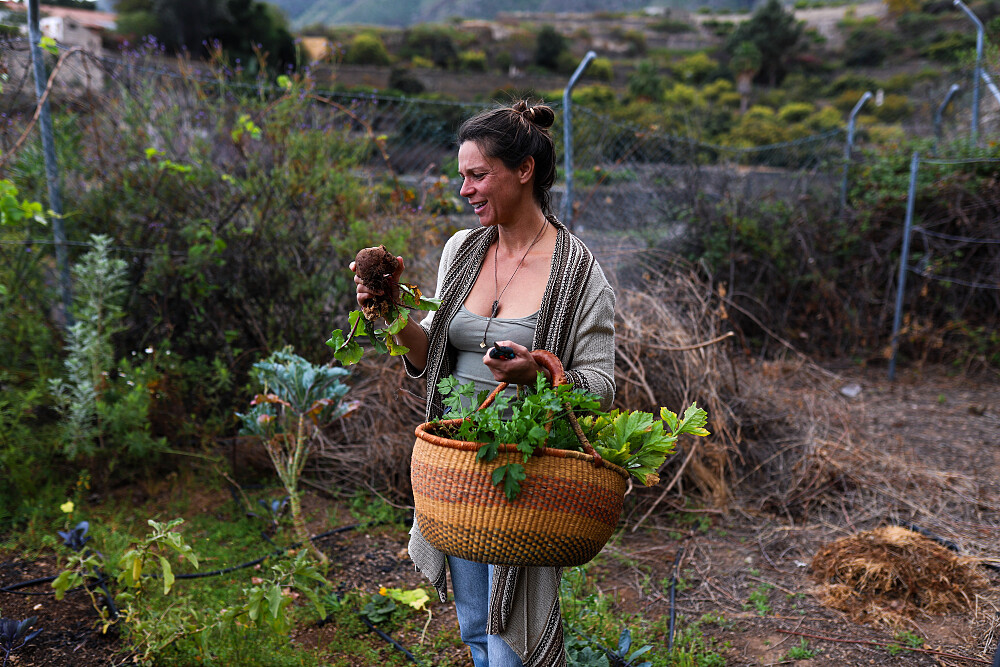 7 Day Back to the Roots: A Holistic Living Retreat in Tenerife 2
