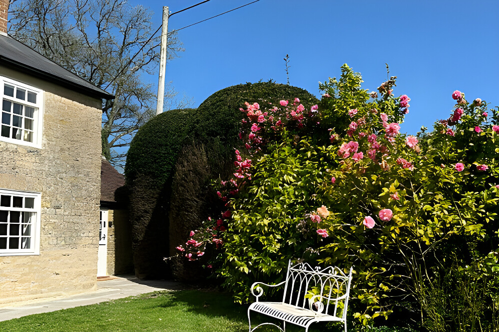 7 Day Craniosacral Therapy and Private Retreat in Somerset, UK