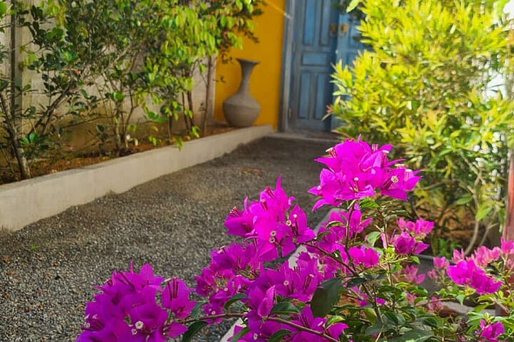 7 Day Deepen Your Practice Yoga Immersion Retreat, Sri Lanka 15