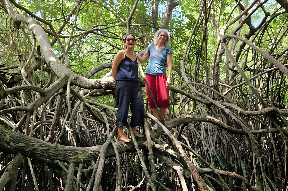 7 Day Deepen Your Practice Yoga Immersion Retreat, Sri Lanka 20