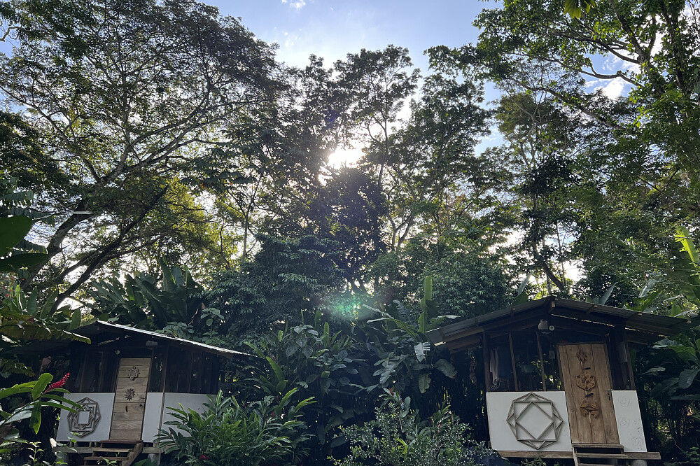 7 Day Digital Detox Nature Immersion Retreat In Costa Rica