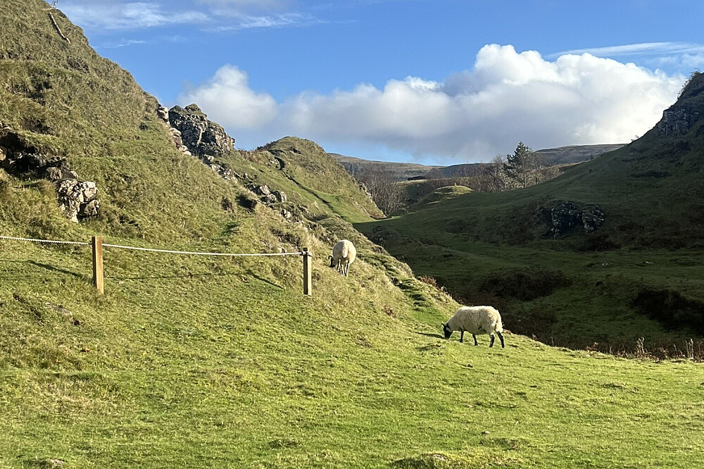 7 Tage Heilung in den Highlands: Align & Breakthrough in Schottland 36