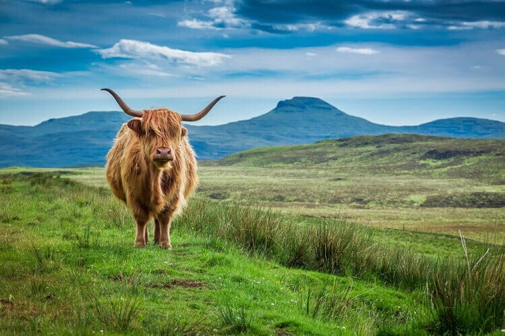 7 Tage Heilung in den Highlands: Align & Breakthrough in Schottland 18