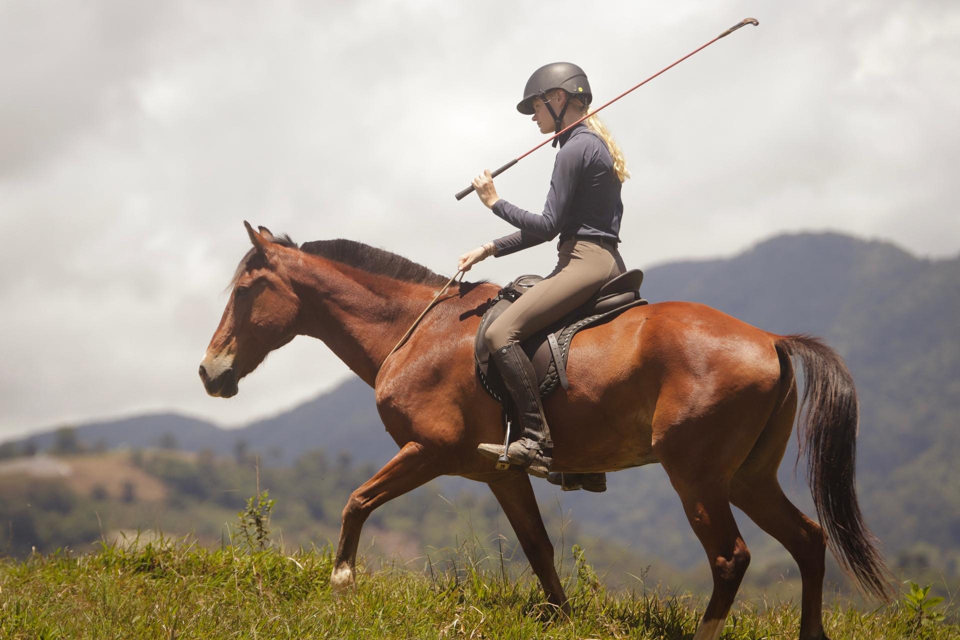Retiro de 7 días de conexión con caballos, trabajo en libertad y yoga en Costa Rica 3
