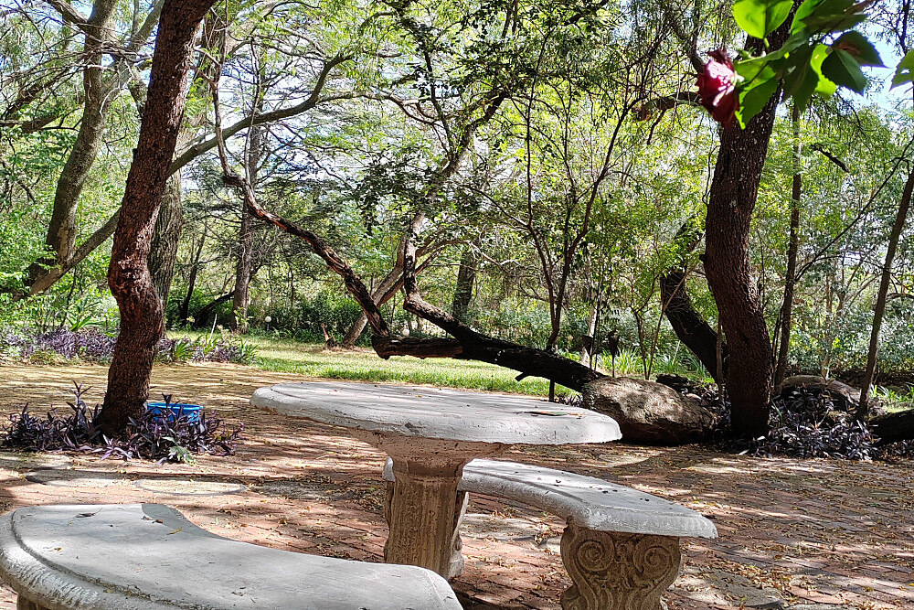 7-tägiges privates, individuell gestaltetes Retreat in Südafrika 14