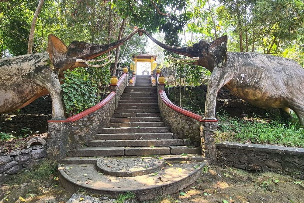 7 dagen Innerlijke Rust: yogaretreat in kleine groep, Bentota, Sri Lanka 19
