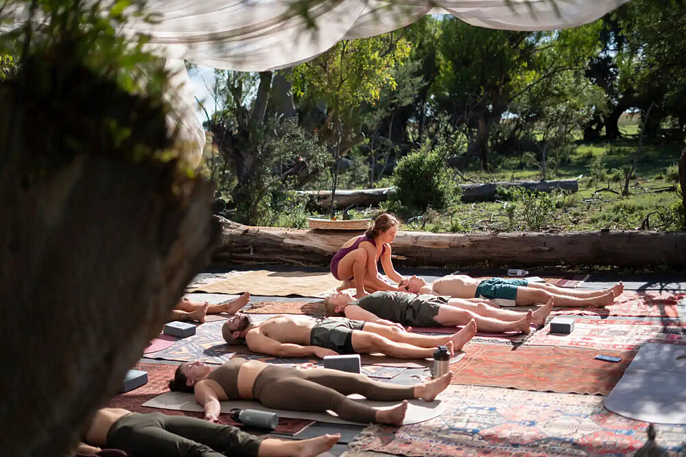 7 Day Luxury Yoga, Safari & Wellness Escape in South Africa 3