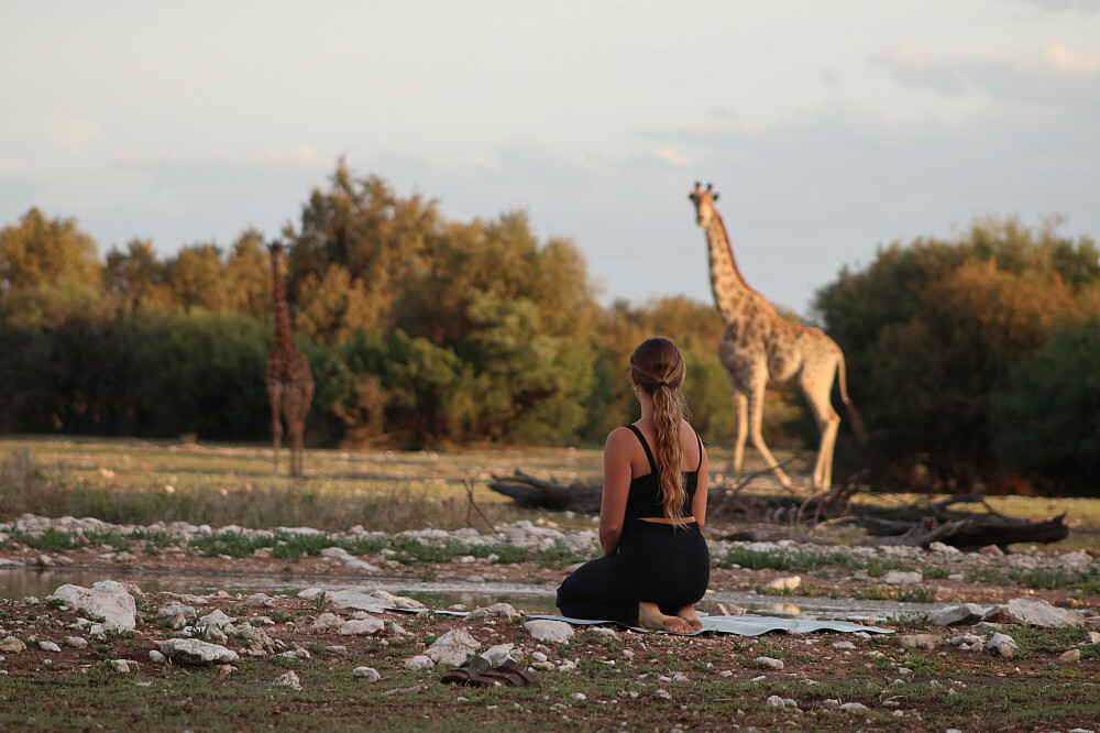 7 Day Luxury Yoga, Safari & Wellness Escape in South Africa 2